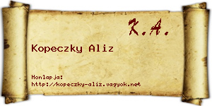 Kopeczky Aliz névjegykártya